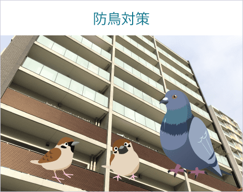 鳩ネット