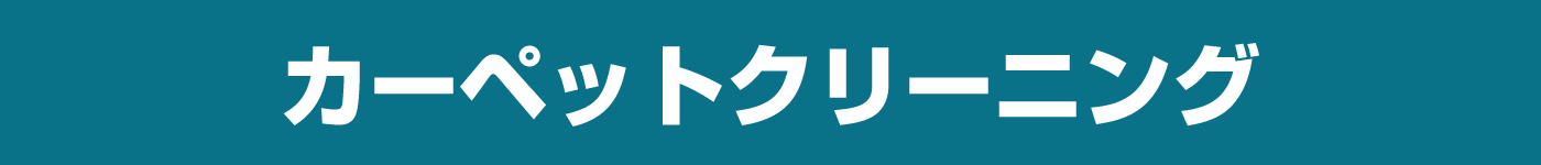 カーペットクリーニング