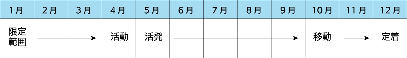 ゴキブリ駆除