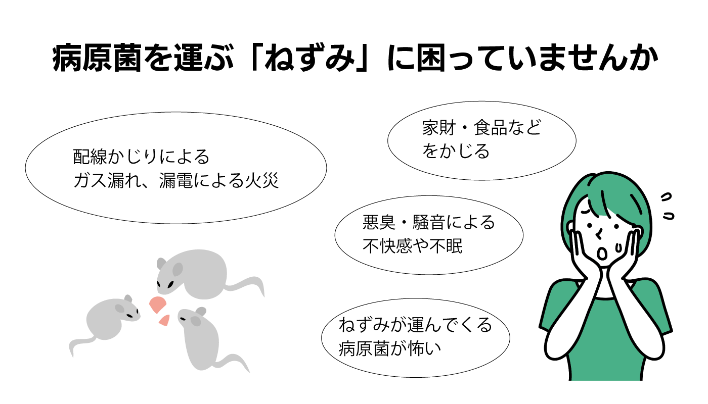 ねずみ駆除