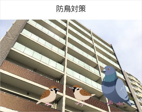 鳩ネット対策